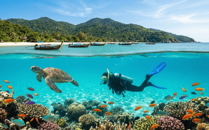 Scuba Diving Koh Tao for Beginners: The 2026 Guide