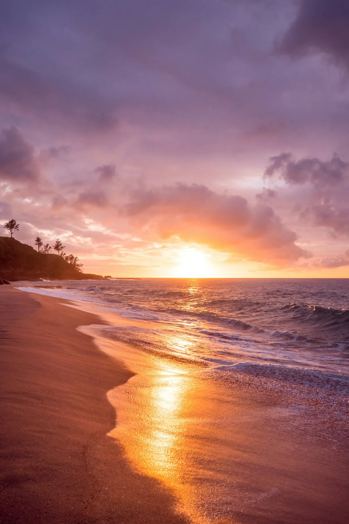 Tropical beach paradise