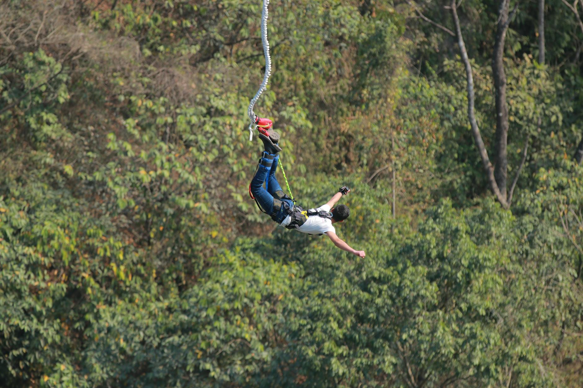 Thrilling bungee jump with lush forest backdrop in Switzerland