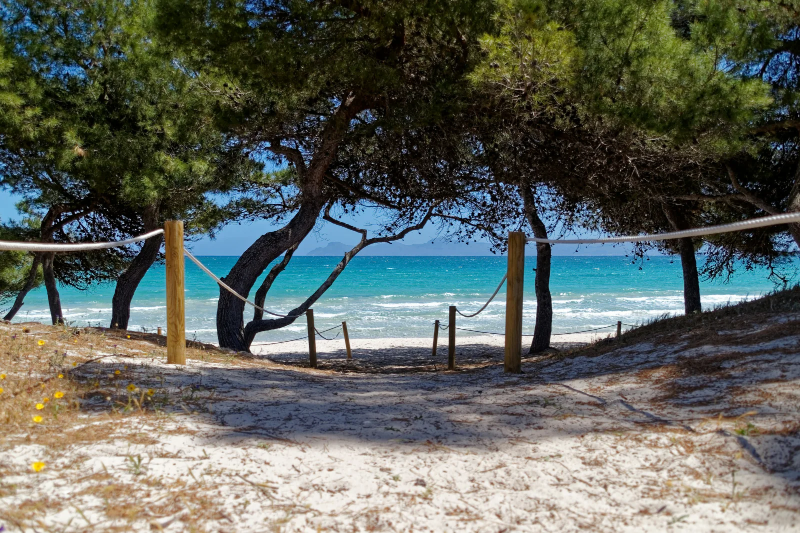 Section 'Es Trenc, Mallorca: the Caribbean look without the crowds' — show: Es Trenc Mallorca Spain turquoise white sand