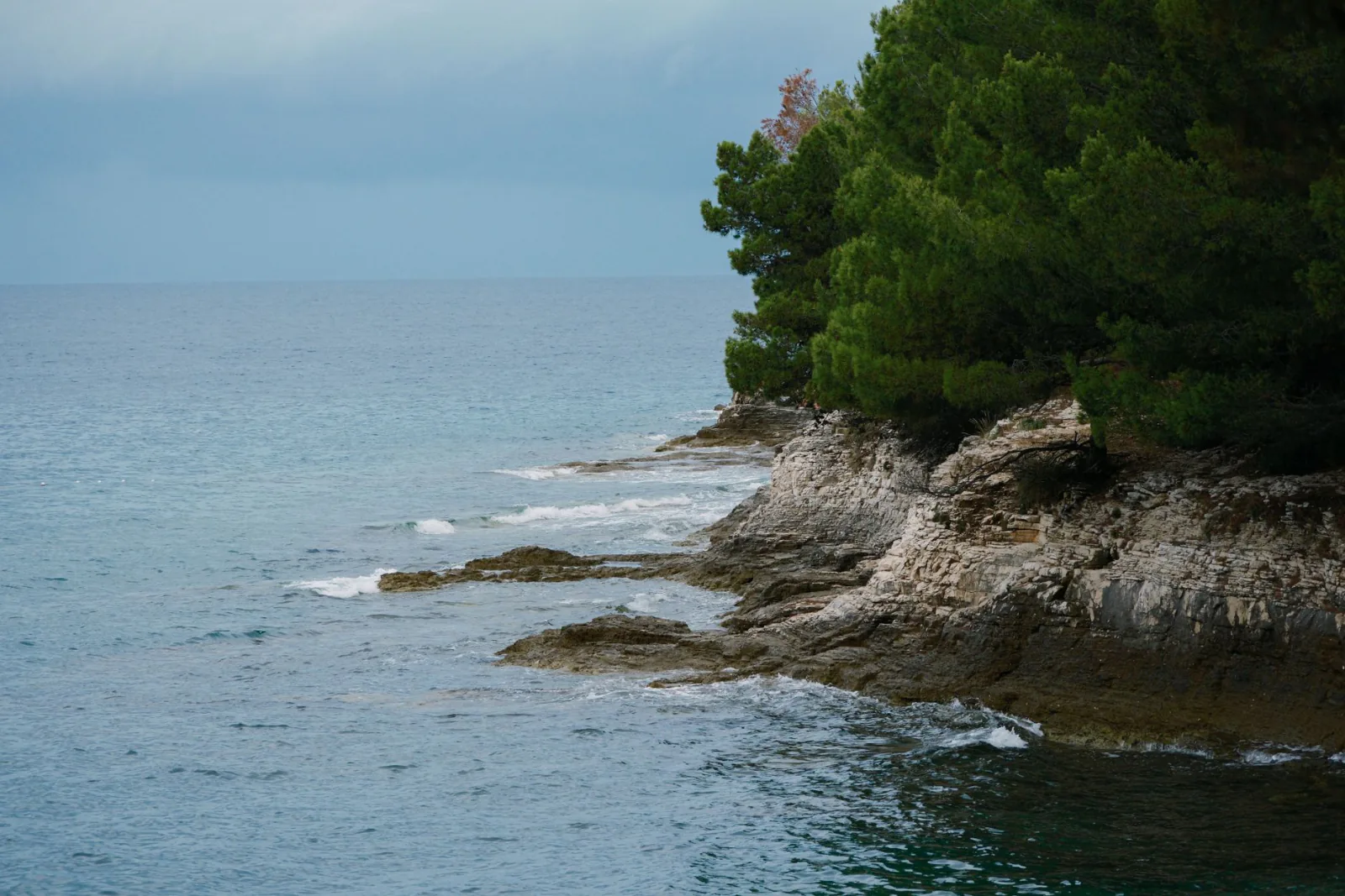Section 'Valalta &amp; Koversada, Croatia: where naturism feels like a resort' — show: Rovinj Istria Croatia pine forest