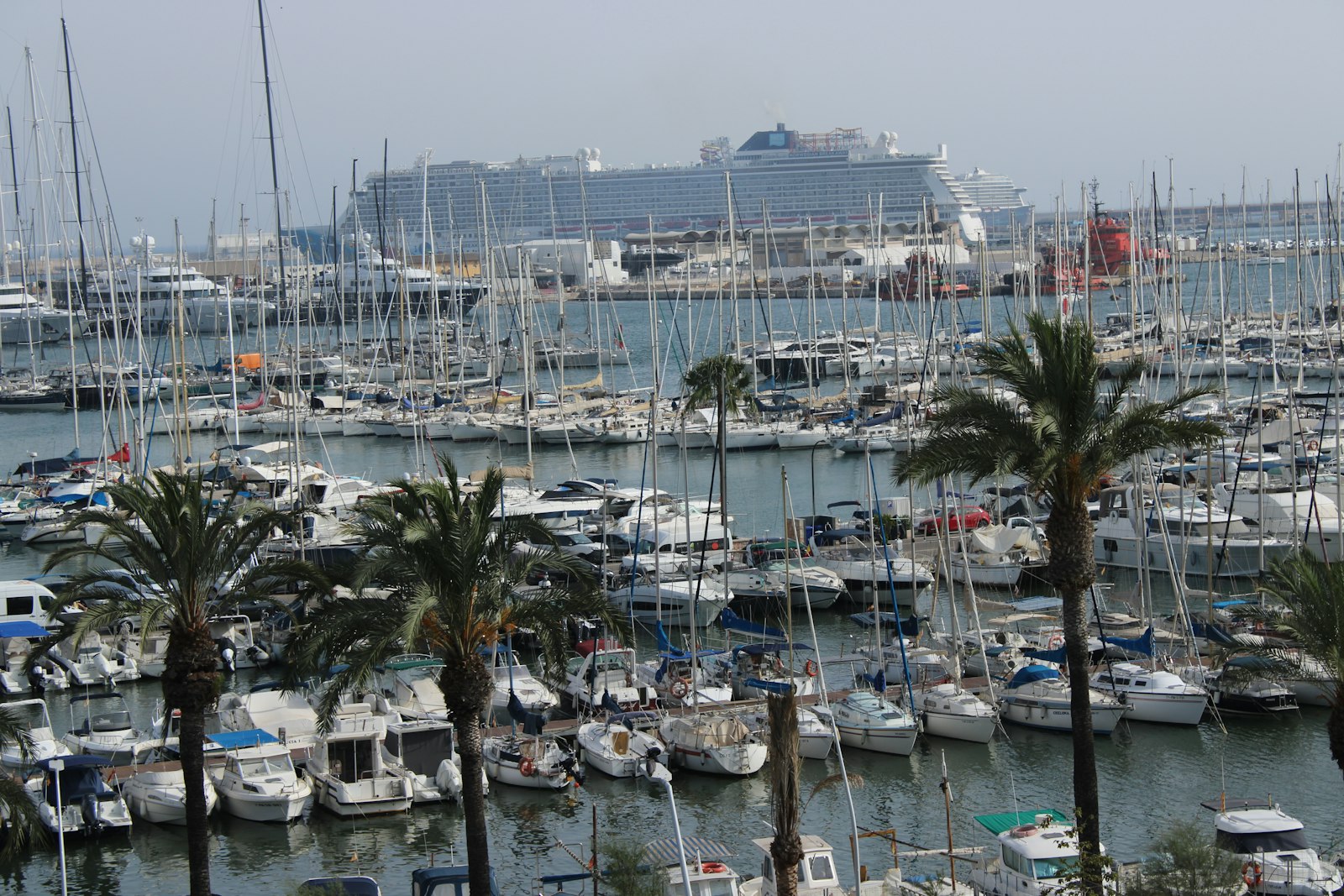 Palma de Mallorca marina and waterfront at golden hour β navigating Mallorca lifestyle scene
