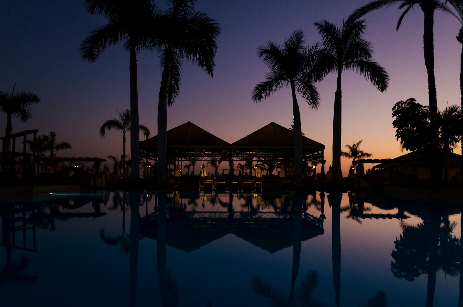 Beachfront resort pool and lounge lit at twilight under palm silhouettes β best clubs and nightlife in Tenerife