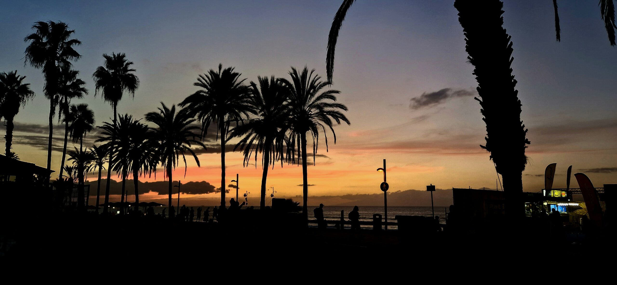 Palm trees are silhouetted against a colorful sunset