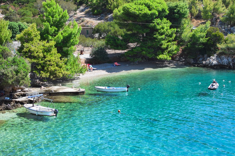 Secluded sandy cove framed by pine trees