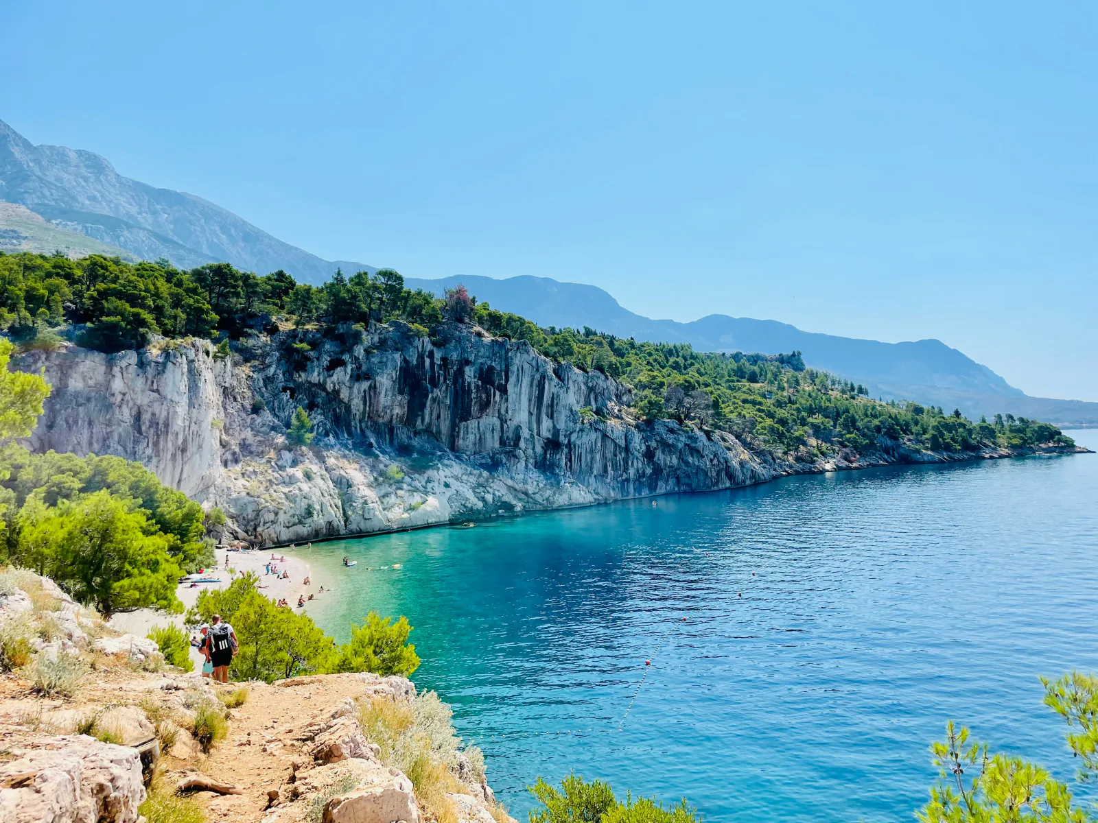 Wild pine-framed beach and turquoise Adriatic water on the Croatian coast – Sahara & Nugal — Best Wild, Off-the-Radar Escapes
