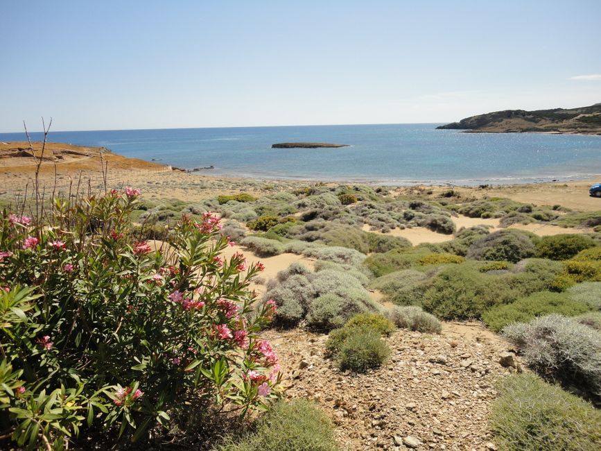 A vibrant coastal scene with wildflowers and blue sea under a clear sky, ideal for travel themes. – Gavdos: Sarakiniko Beach, Greece's Southernmost Legal Nude B