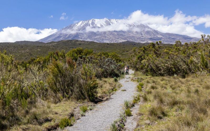 Kilimanjaro Trek Cost 2026: What You’ll Actually Pay