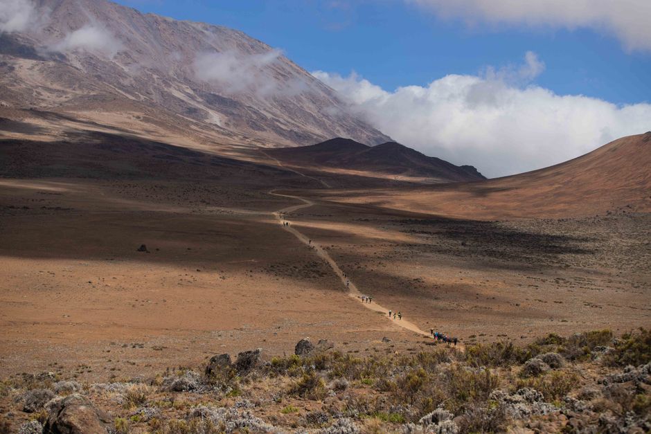 Scenic view of a trekking path on Mount Kilimanjaro, highlighting the arid landscape and distant climbers. – Picking Your Route: Machame, Lemosho, Marangu, or R