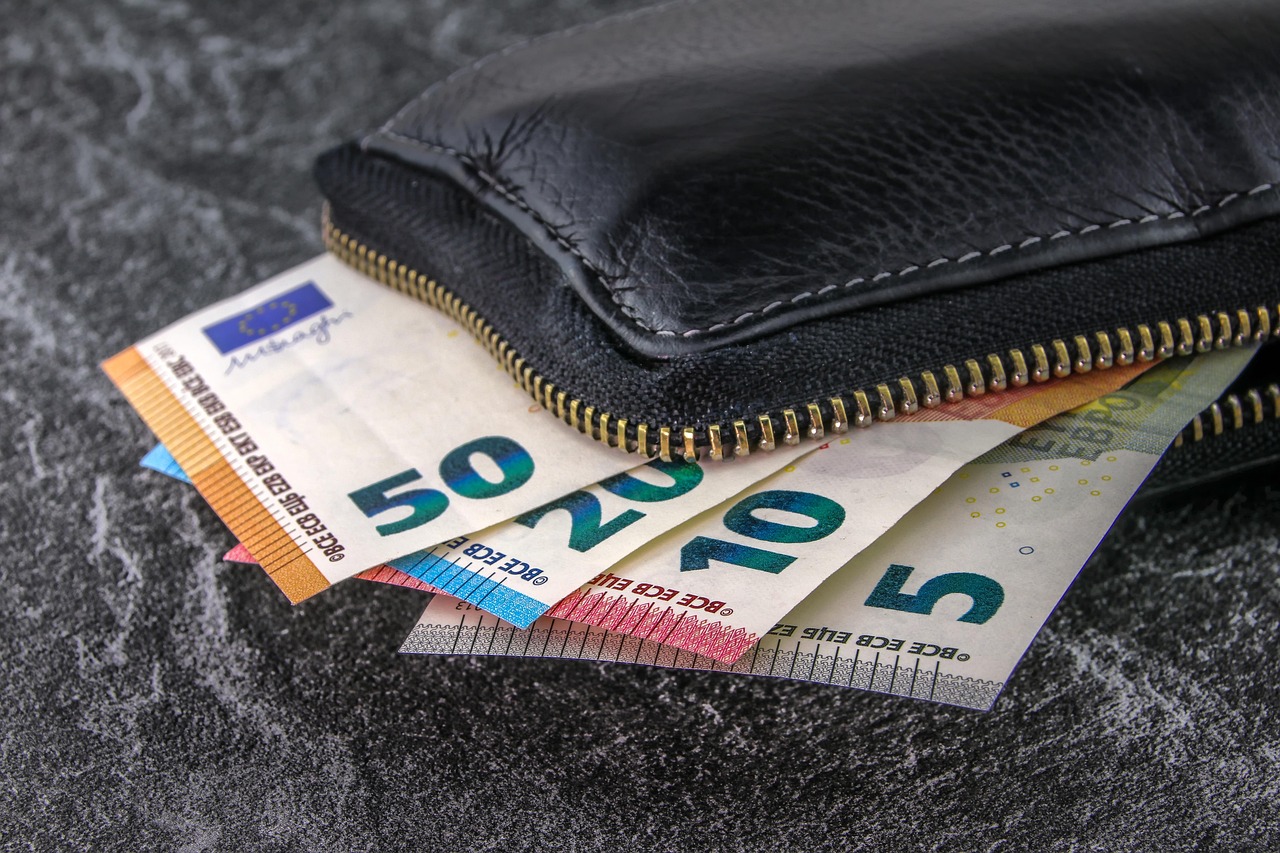 money, banknotes, euro, currency, pay, wallet, business, cash, fifty, twenty, ten, five, black, leather, finance, paper money, banknote, funds, pocket, shopping