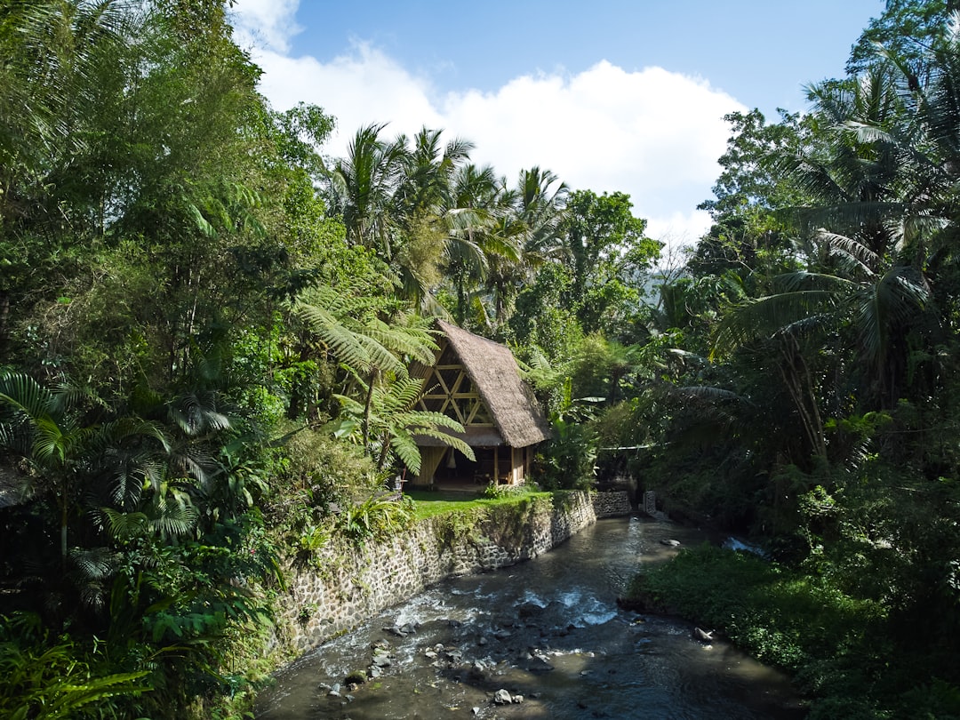 A river running through a lush green forest – Best Time of Year to Go