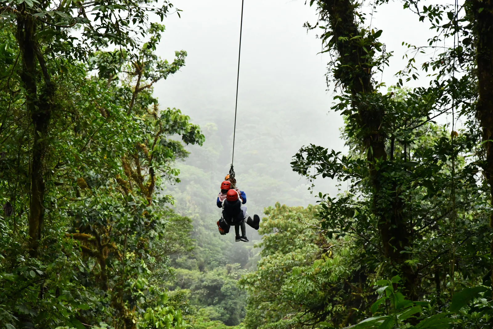 Zipliner crossing through misty Costa Rican rainforest canopy. – What to Expect on Your First Canopy Tour