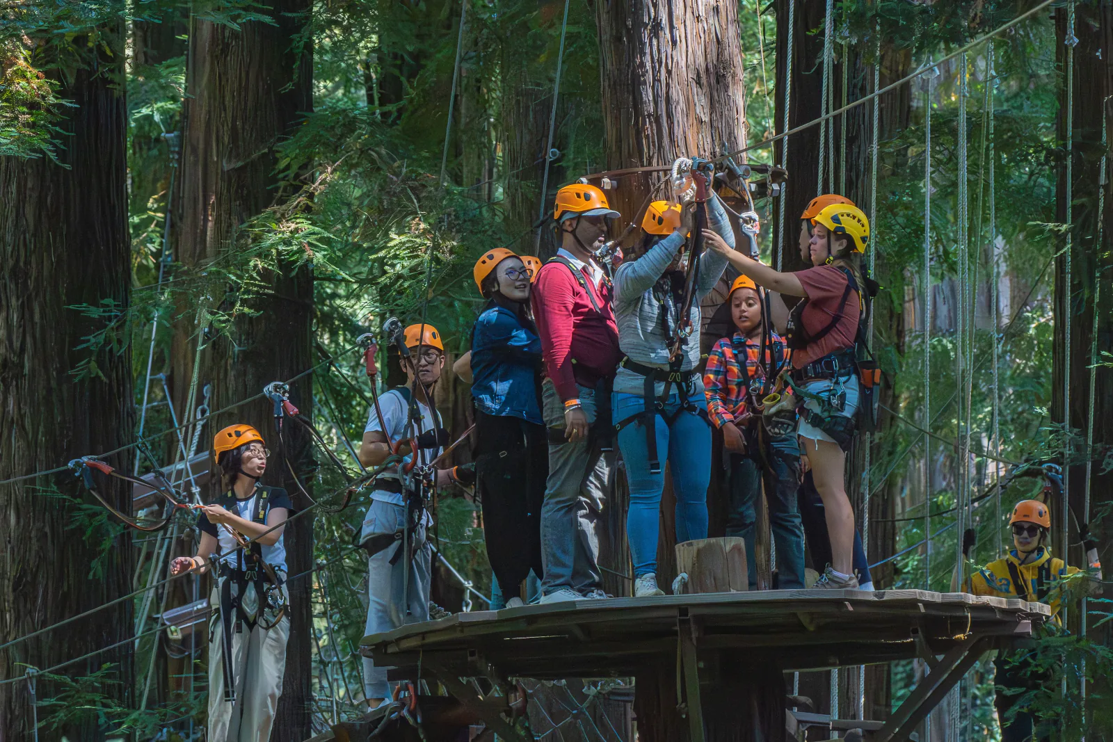 Group of ziplining guests gathered on a forest platform, ready for their next line. – Ready to Book Your Costa Rica Zipline Trip