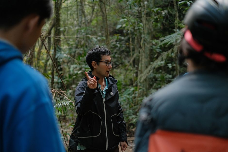 A guide leading a group of people on an informative nature walk in a dense forest. – Gorilla Permits in 2026: Cost and How to Book