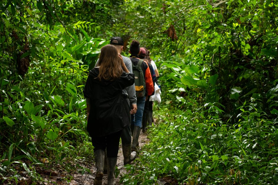 Hikers walking through vibrant, dense foliage in Manacapuru, Brazil. – What to Pack and How to Prepare Physically