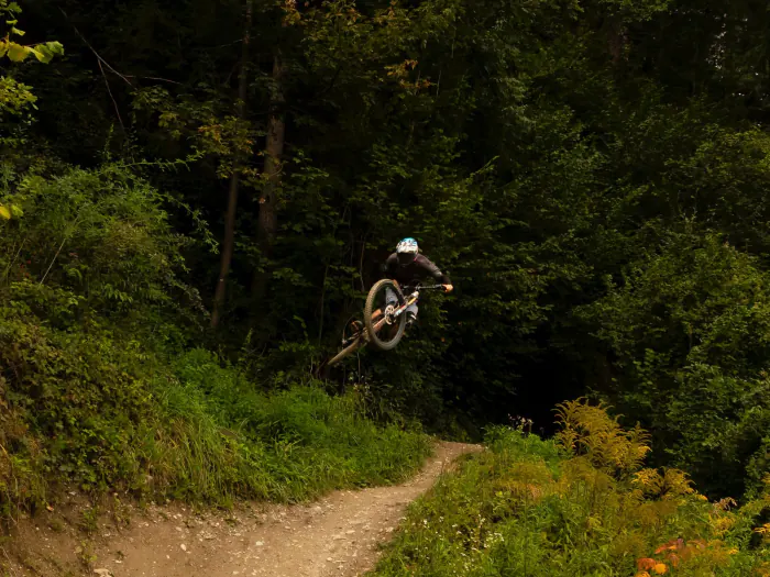 Mountain biker jumping a lush forest singletrack – choosing Whistler trails by skill level, British Columbia