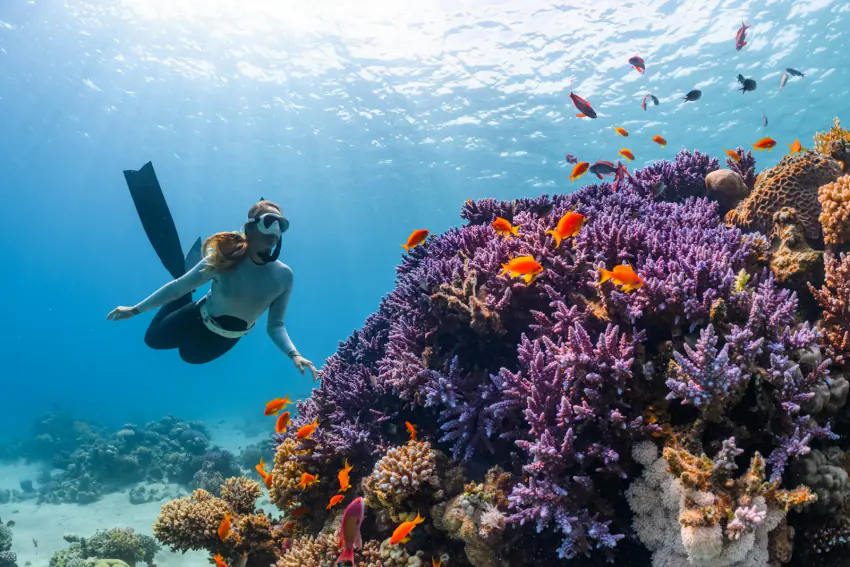 Freediver gliding over a purple coral reef – which activities are covered, upgradeable or off the table